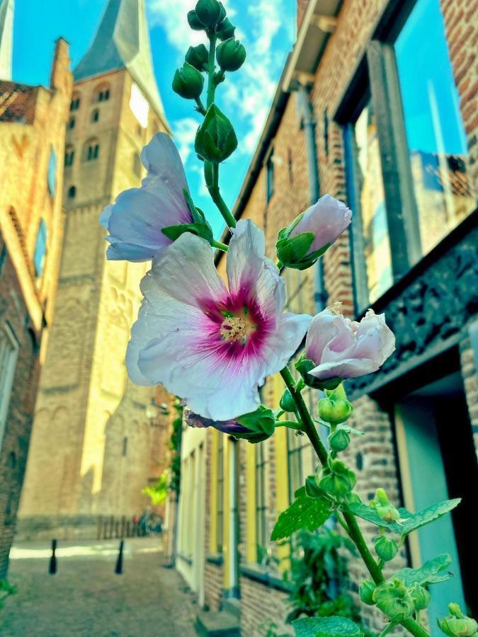 Atelier Raamwerk City Apartments Deventer 125M2! Dış mekan fotoğraf